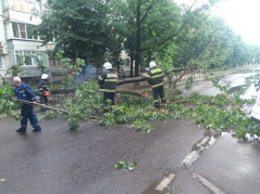 Об аварийно-спасательных работах, проведенных МКУ МО город Краснодар ПАСС «Служба спасения»